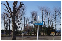 140322_江戸街道.jpg