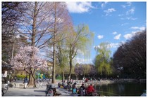 140322_溜池公園.jpg