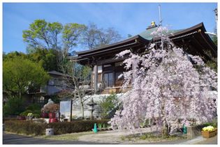 140412_来迎寺.jpg