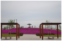 140428_新公園.jpg
