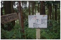 140831_馬頭観音の道標2.jpg