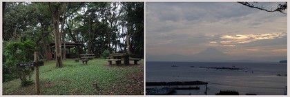 140920_はやま三ヶ岡山緑地.jpg