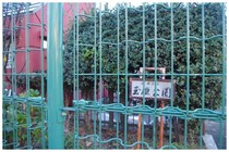141206_玉姫公園.jpg