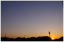 150111_夕焼け.jpg