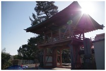 150111_臼井妙傳寺.jpg