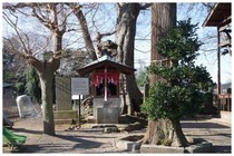 150111_臼井星神社.jpg