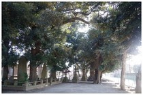 150211_上山神明社.jpg