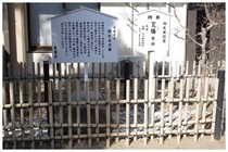 150211_駒どめの石.jpg