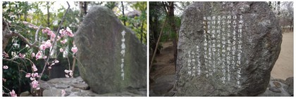 150314_幸田露伴文学碑.jpg