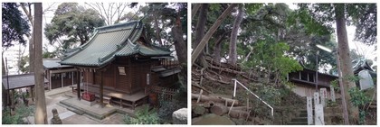 150314_松戸金山神社.jpg