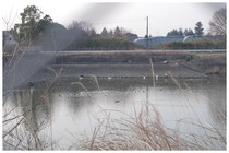 150314_調整池.jpg