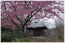150320_大師堂.jpg