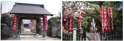 150322_圓能寺.jpg