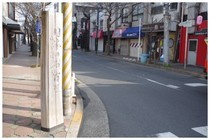 150322_桜通り.jpg