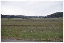 150322_田園風景.jpg