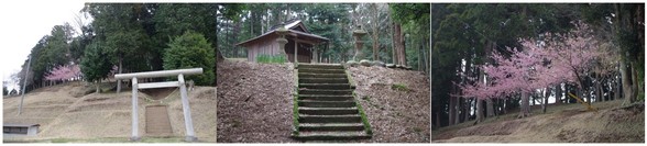 150322_矢那吉野神社.jpg
