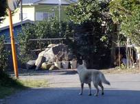 20130210_旭市蛇園普門院近く.jpg