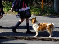 20130210_銚子商高坂下.jpg