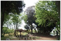 20150503_大六天社.jpg