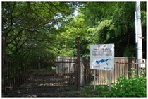 20150712_津久井湖ボート場脇.jpg