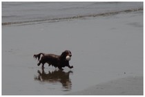 20150720_水遊び.jpg