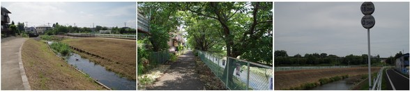 20150725_境川沿い.jpg