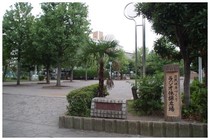 20150816_公園.jpg