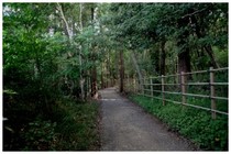 20150823_粟野の森.jpg