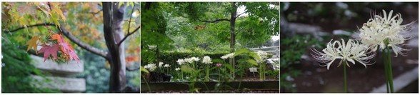 20150829_観音寺.jpg