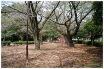 20150923_御滝公園.jpg