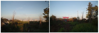 20151121_姉ヶ崎大神山古墳.jpg