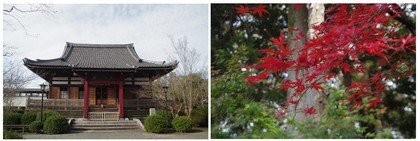 20151121_寿福寺.jpg