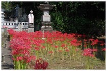 20159021_結縁寺2.jpg