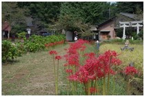 20159021_結縁寺3.jpg