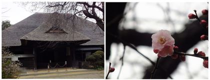 20160206_取手本陣.jpg