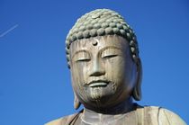 20160221_大仏のアップ.jpg