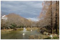 20160221_貝柄山公園.jpg