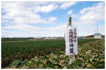 20160225_お札.jpg