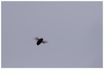 20160423_I.jpg