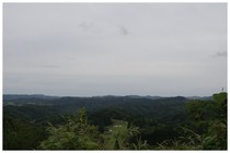 20160604_伊藤大山近く.jpg
