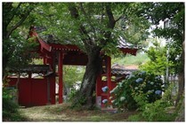 20160605_持宝院山門.jpg