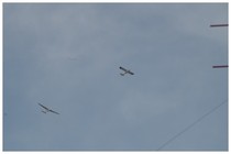 20160612_グライダー.jpg