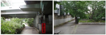 201606205_地下水路歩道.jpg