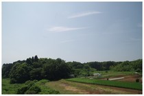 20160620根戸城址1.jpg