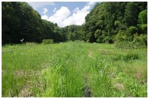20160807_大町自然公園1.jpg
