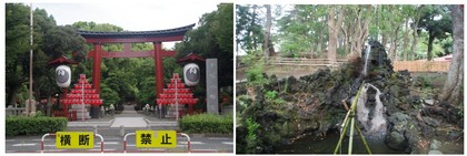 20160821_平塚八幡神社.jpg