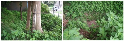 20160828_将門の井.jpg