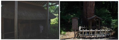 20160910_大中寺の不思議.jpg