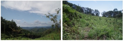 20160910_桜峠.jpg
