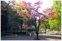 20161103_白井聖地公園.jpg